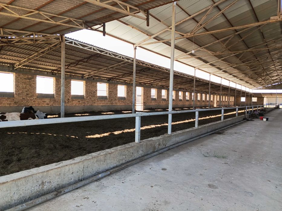 Ферма 3.5 Га город Каттакурган цена 450 000 уе торг есть