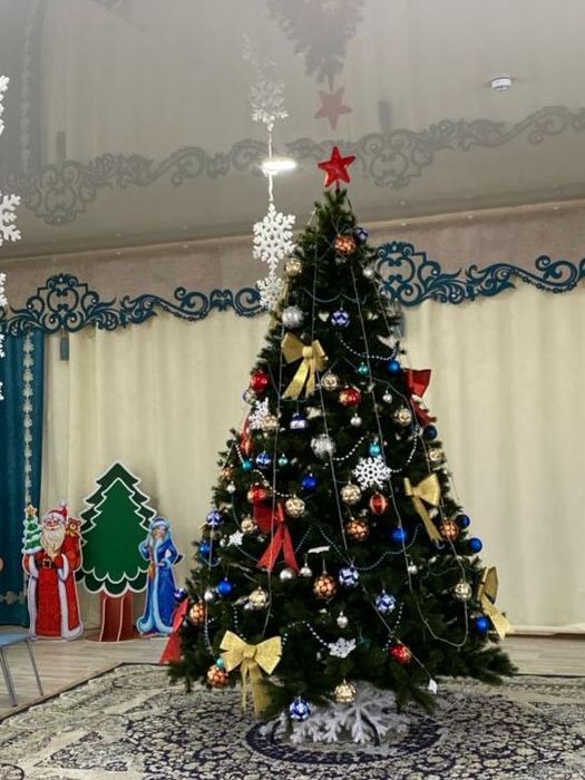 Елка пихта прелестная