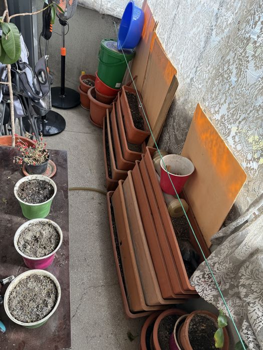 Vand ghivece si jardiniere cu pamant de flori