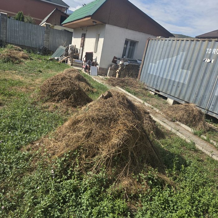 Сено. Разнотравие.