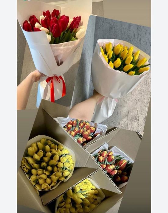 Свежие Тюльпаны оптом и в розницу