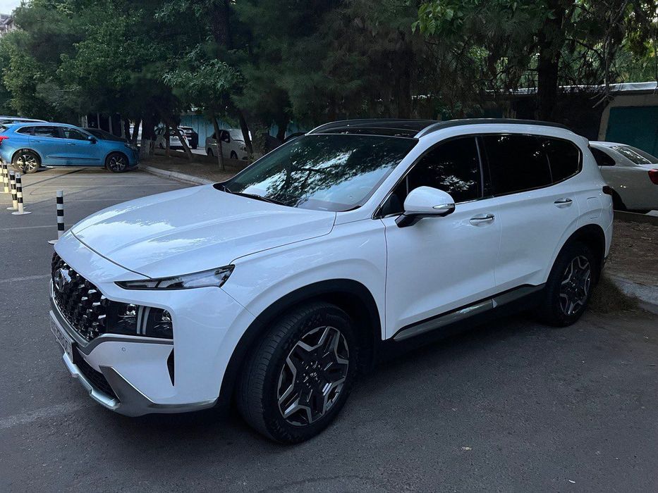 Hyundai santafe 2021