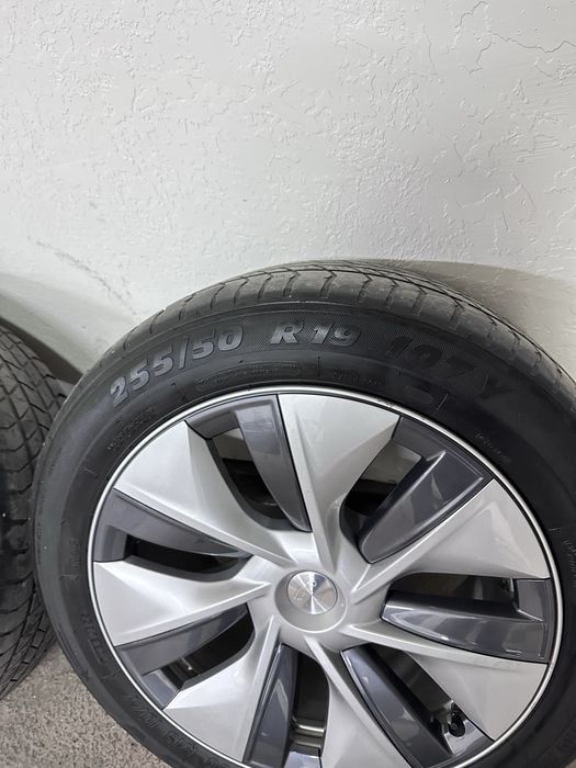 Diska balon Tesla model Y