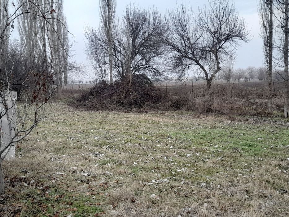 Uchaska sotiladi