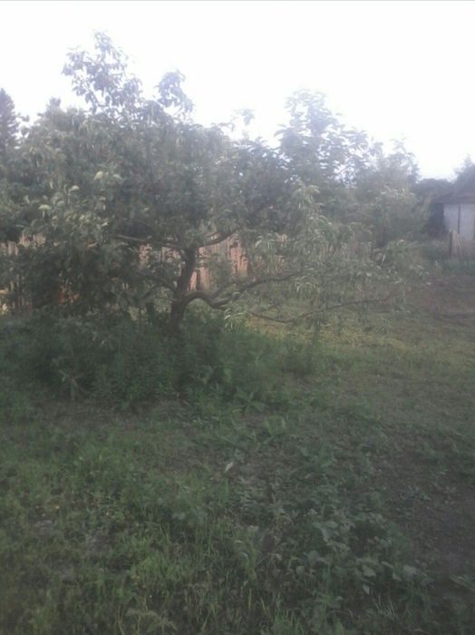 Сад металлург данный участок