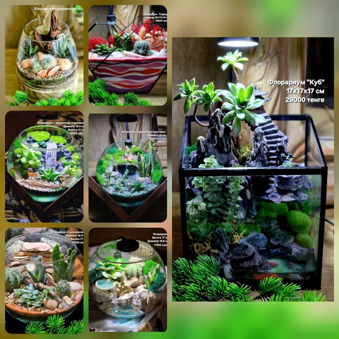 Флорариум, суккуленты