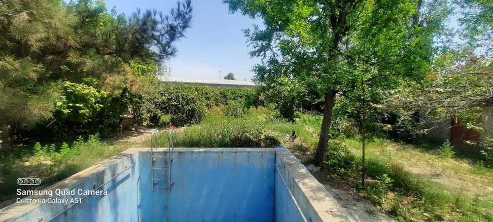 Dacha sotiladi, Nazarbekda