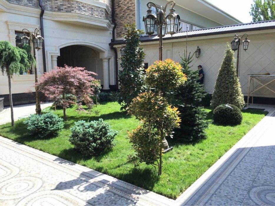 Gazon Газон екиш барча хизмати Халол!