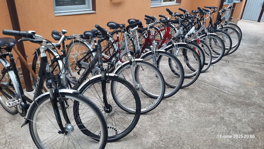 Biciclete de damă și bărbătești