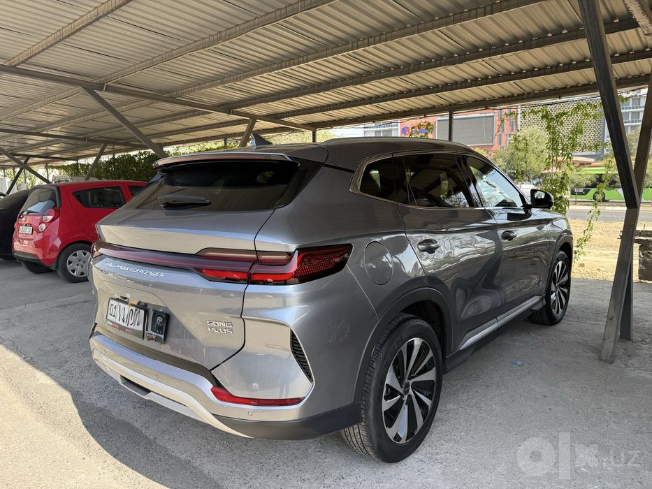 BYD champion dm-i