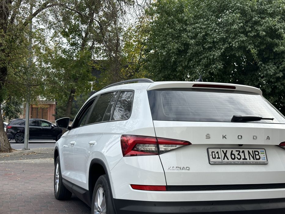 Skoda Kodiaq. Позиция Ambition