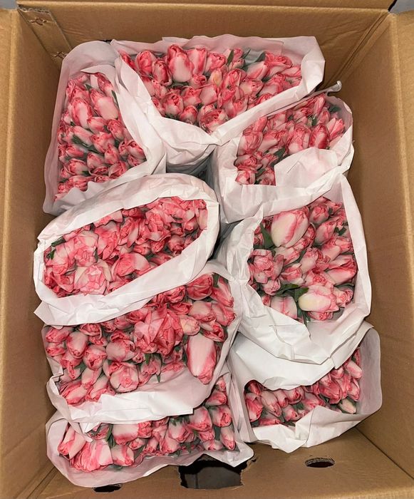 Тюльпаны букеты  от 700 тг