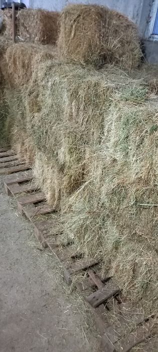 Vând bloț de fân, ne ploați și de calitate bună.