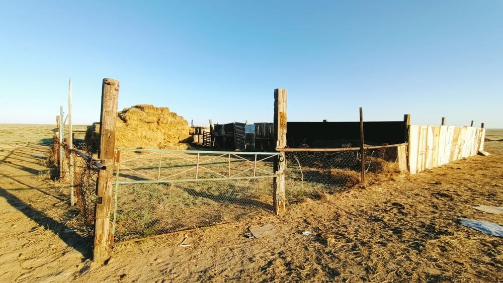 Продам хозяйства