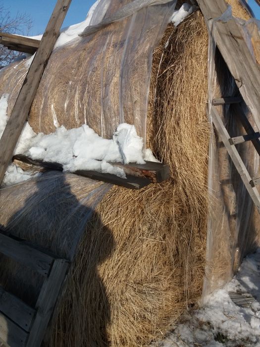 Сено в рулонах разнотравье