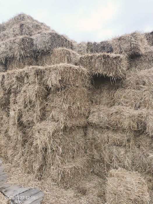 Қырдың шөбі сатылады