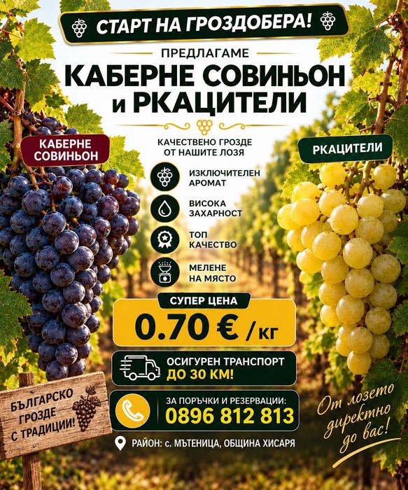 Продавам грозде- Мускат- Тамянка, Каберне Сувиньон, Мерло, Ркцители