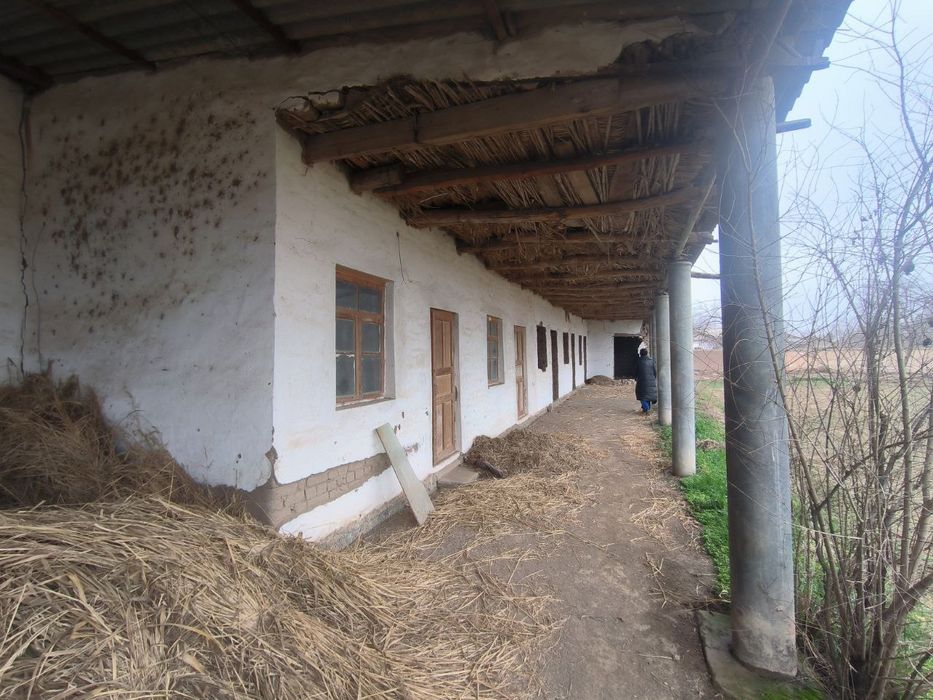 Уй бор кимга керак буса срочно сотаман