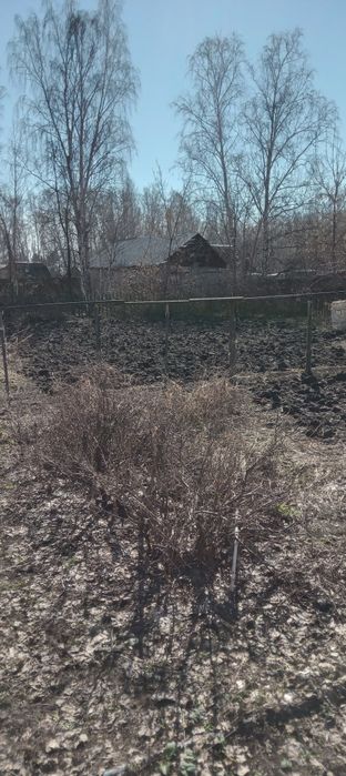 Продам Дачу в об. "Горизонт"