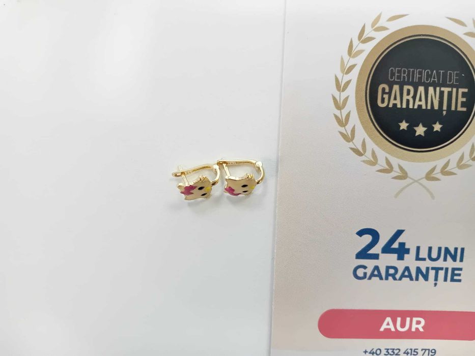 (AG33) Cercei Aur 14K / Garantie 2 Ani.
