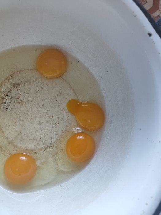 Домашние свежие куриные яйца