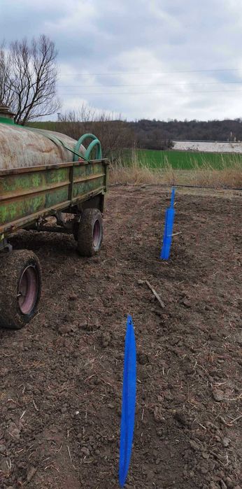 Създаване, поддържане и консултране на овощни градни област Шумен