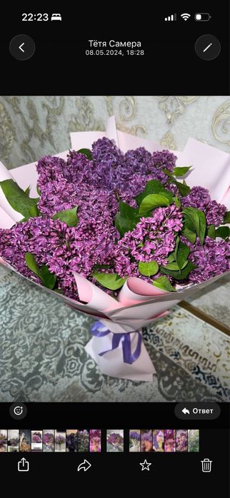 сирень букеты домашняя