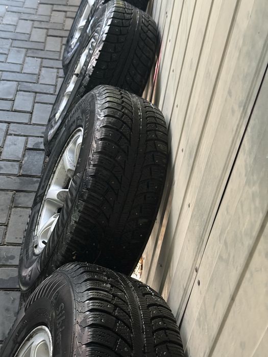 Шины зимние на титанках