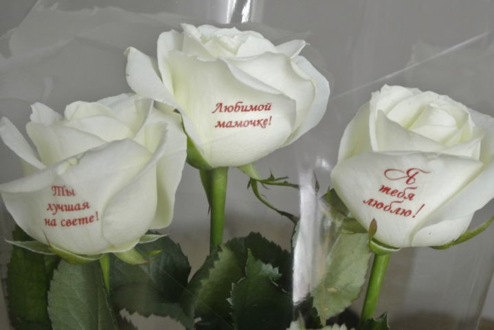 Говорящие цветы наклейки