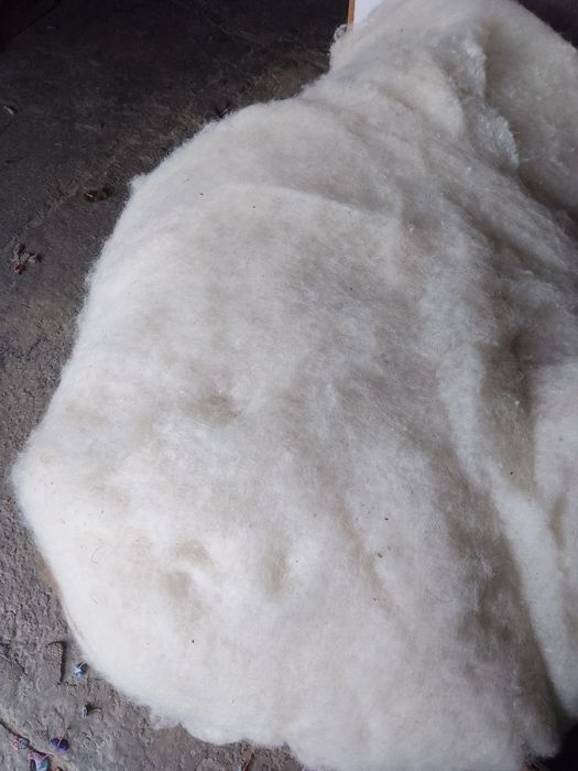 Қой жүні сатылады