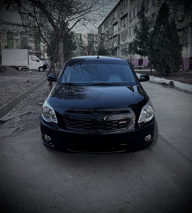 Cobalt Propan MCM 2025-26 BLACK EDITION