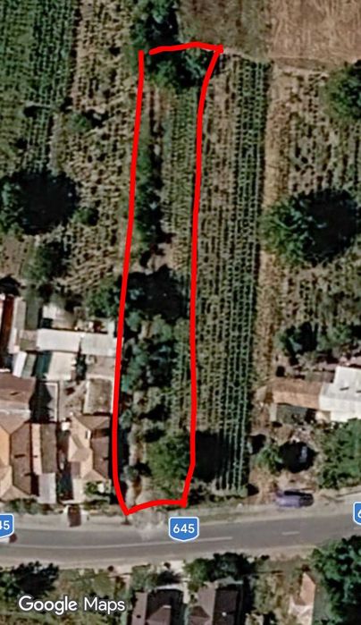 Struguri crâmpoșie 1000kg