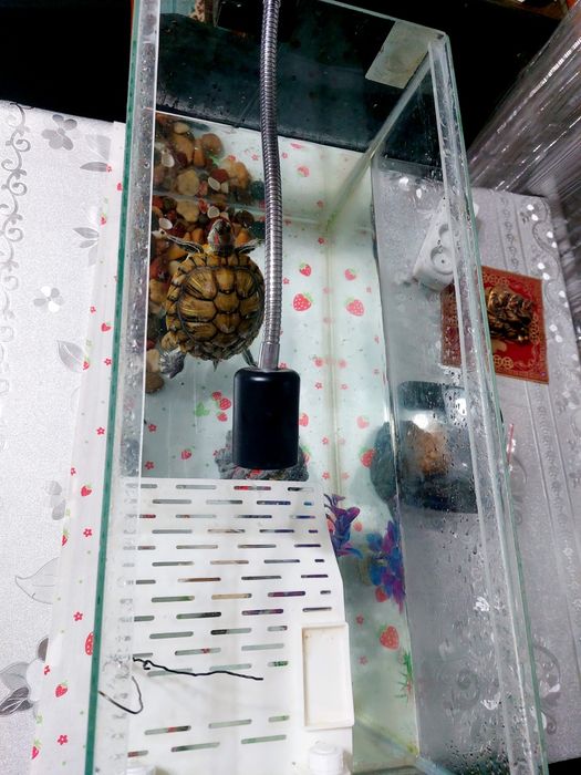 Светильник для террариума