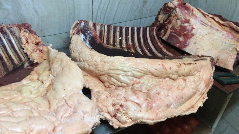 Соғым аяқтап, жіліктеп, тушамен