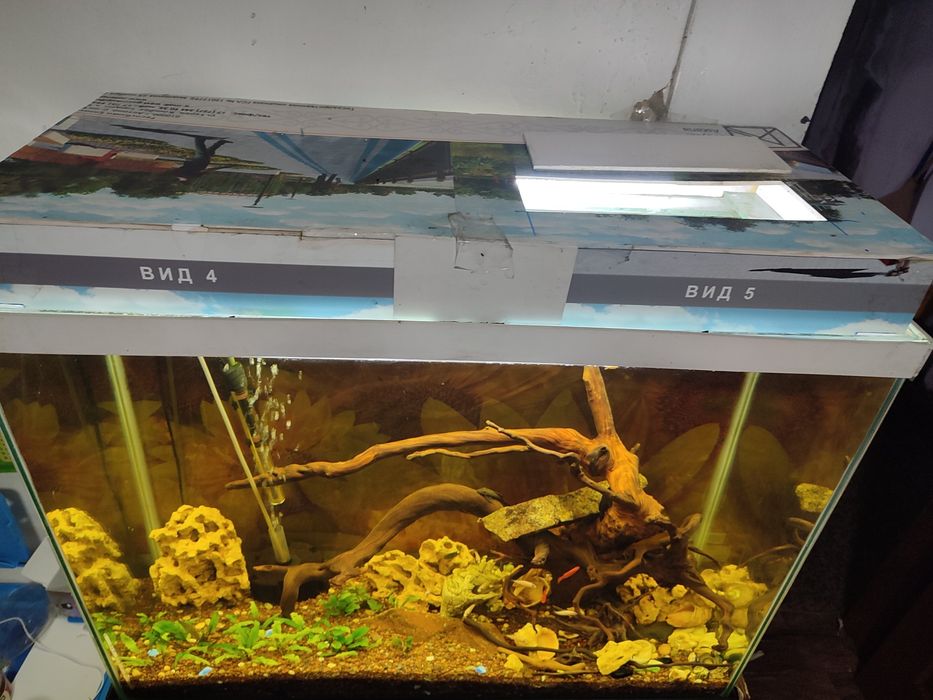Продам  аквариум 200 литров