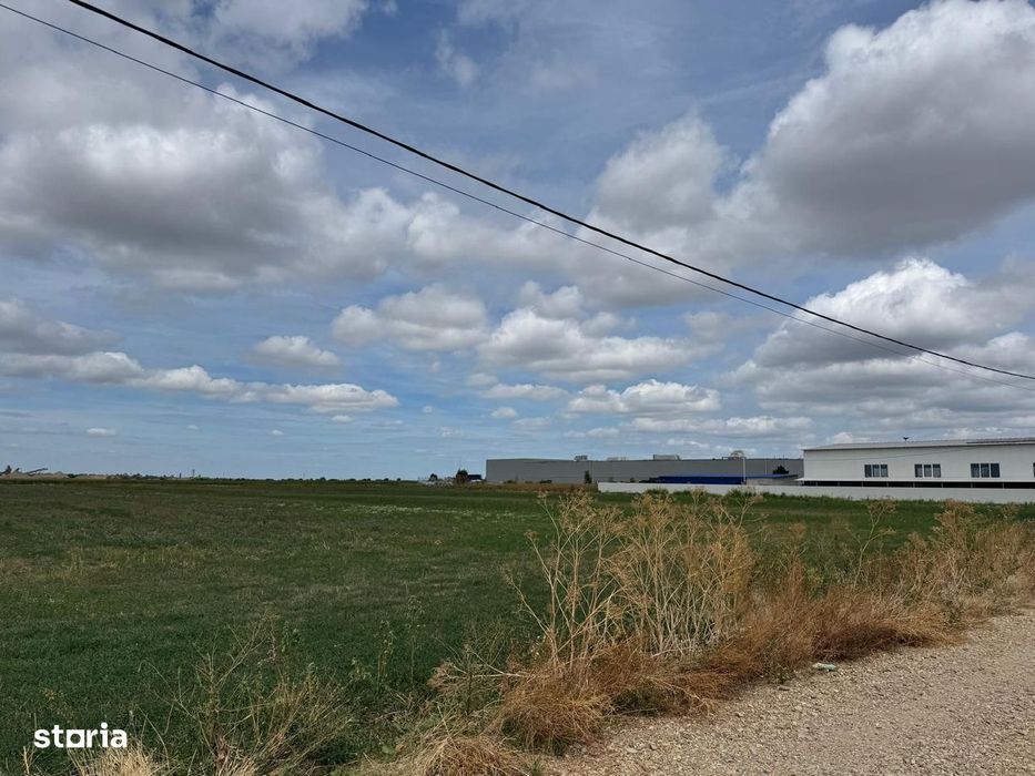 Teren Extravilan Episcopia