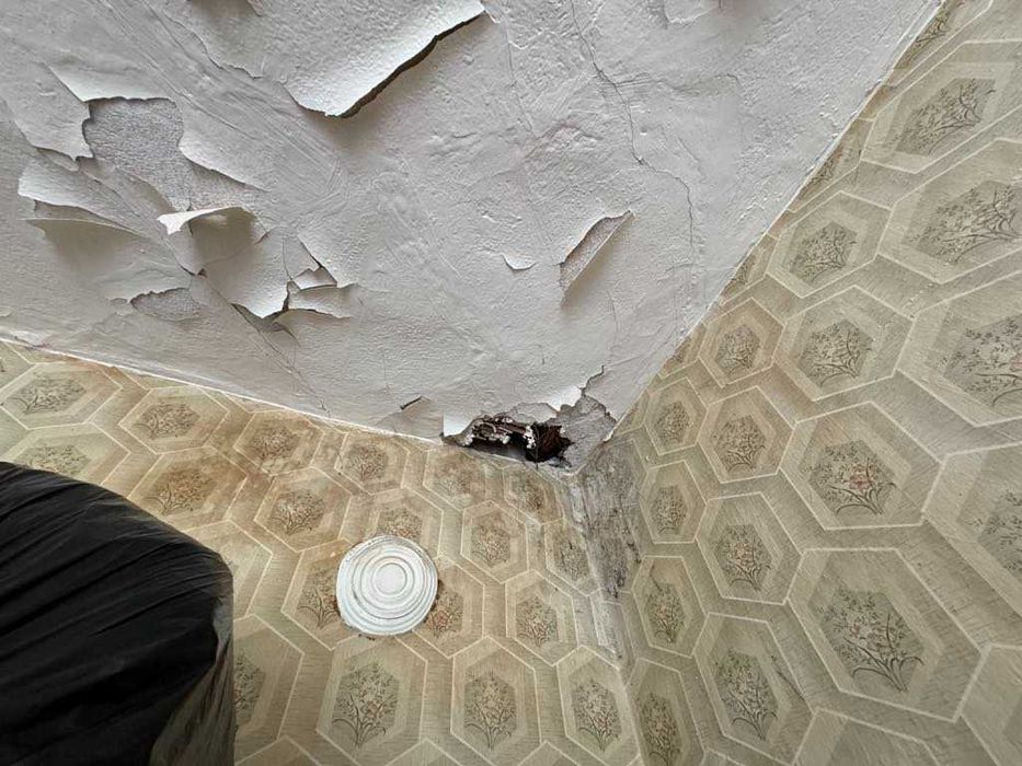 Продава се Къща в с. Златна ливада, Област Стара Загора - 80 кв.м за 383 €/кв.м - Снимка #11