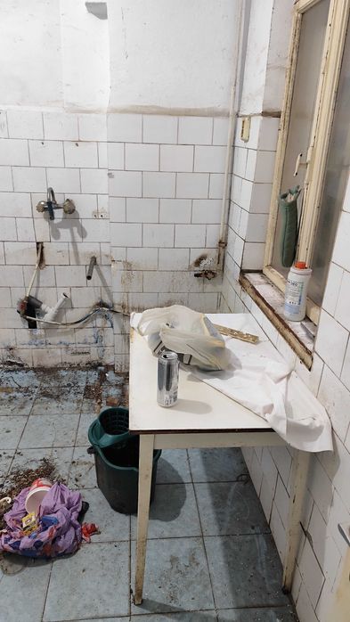 Menaj, curățenie, îngrijire animale de companie