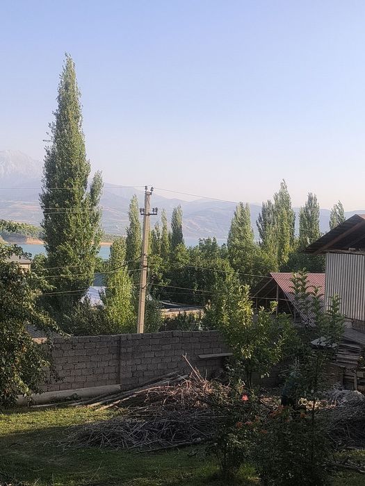 Sijjakda yer sotiladi 6 soʻtix