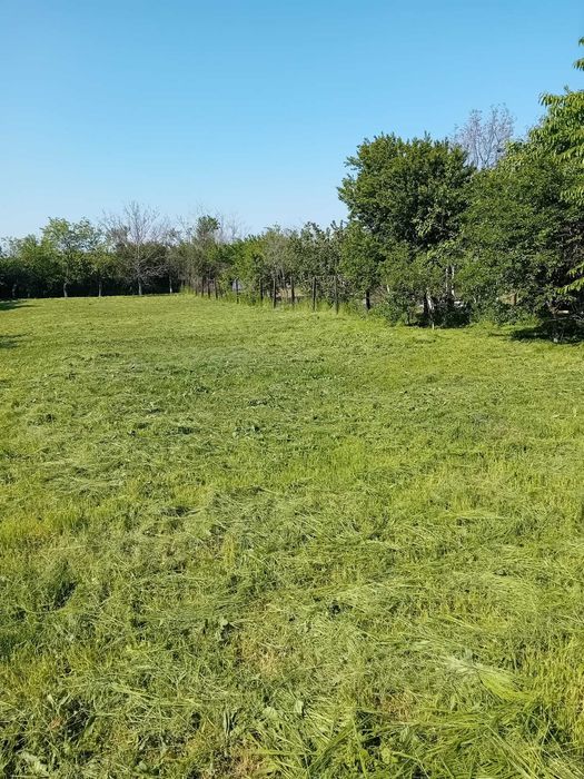 Teren intravilan Ciolpani – 1.375 mp – Str. Negustorilor – asfalt, utilități