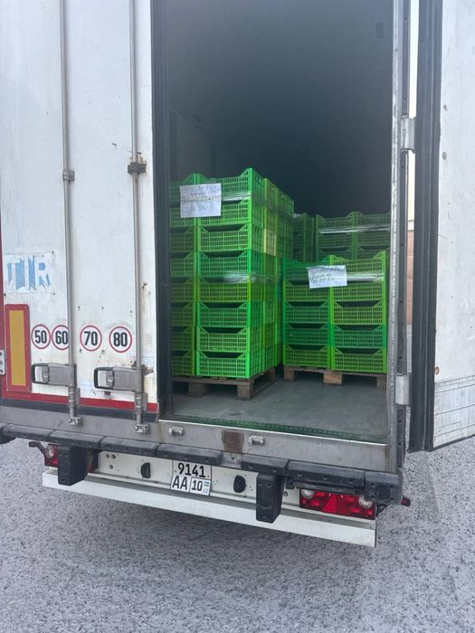 Перевозка грузов международные Опасние грузи ADR(АДР) фура тент реф