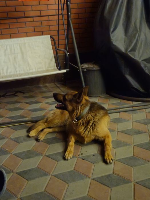 Кабель ищет подругу