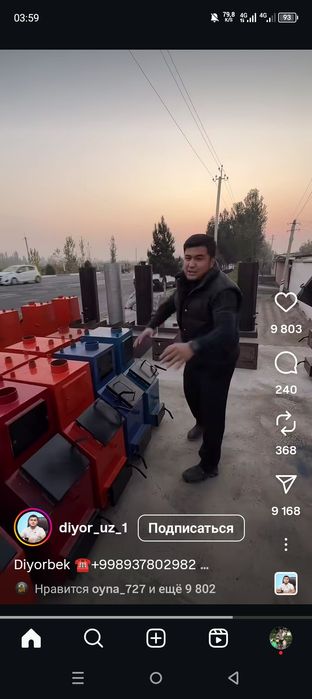 Golubika koʻchati 100% kafolot