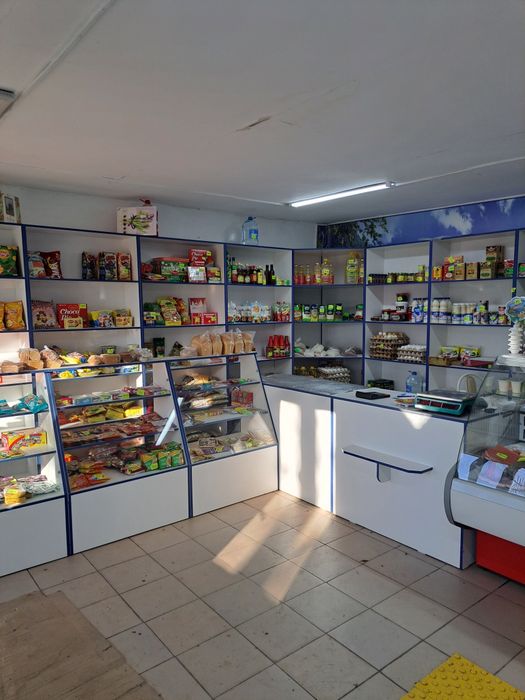 Продам действующий магазин в Чапаеве