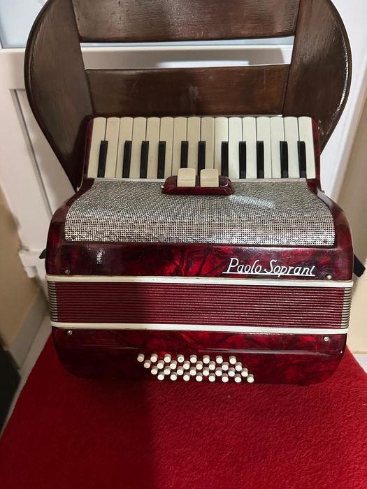 Acordeon mic pentru copii