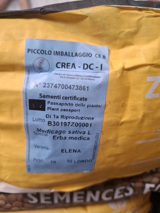 Lucerna certificata soiul Elena