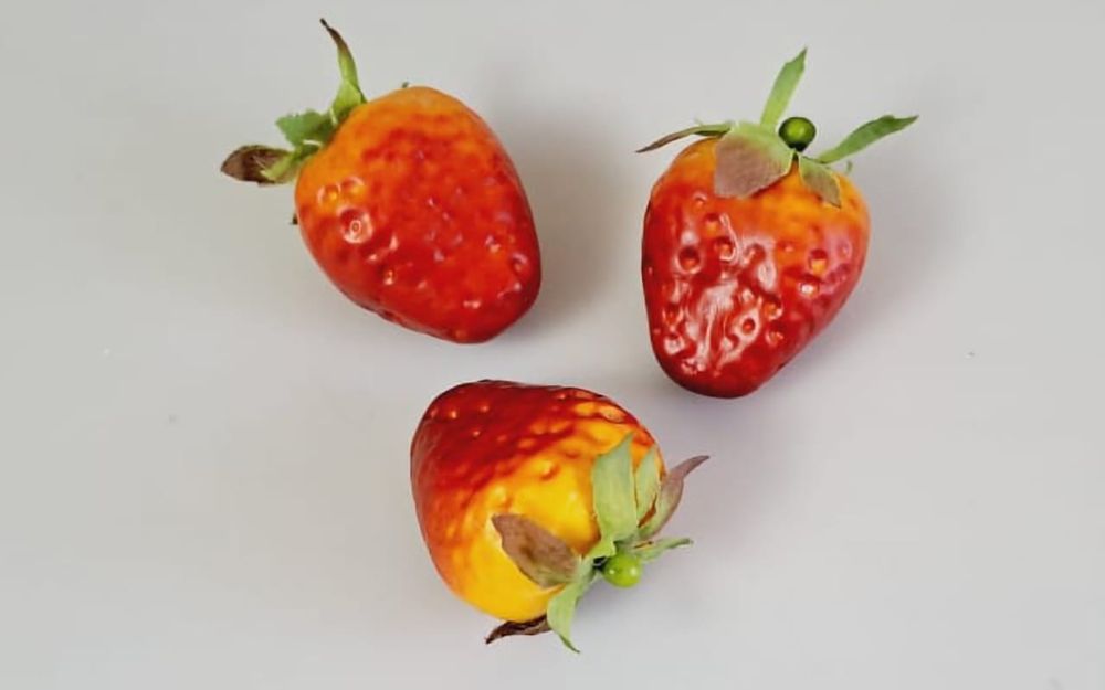 Фрукты  искусственные