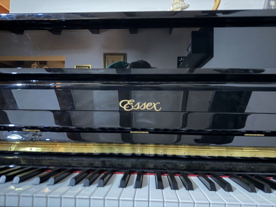 Pianina Essex Eup - 116