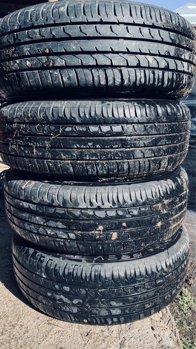 Торес 16 торус 16