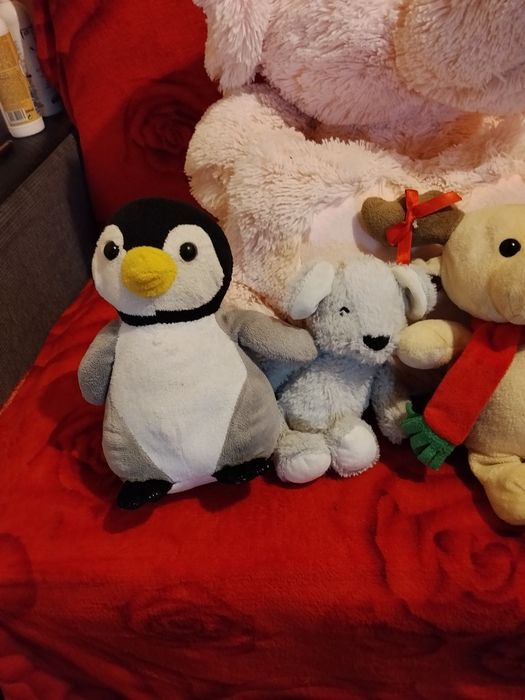 Plusuri în stare foarte buna
